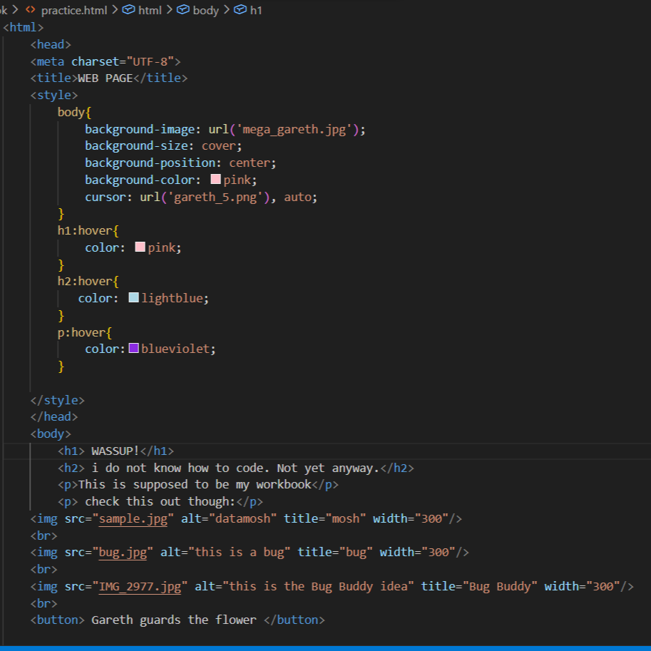 Code Snippet for homepage